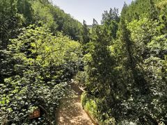 -函谷关历史文化旅游区