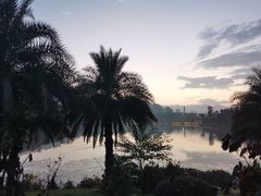 -枫香湖儿童公园