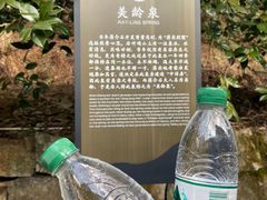 -溪口商量岗景区