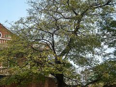 -晋江五店市传统文化旅游区