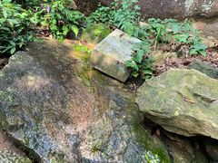 -九鲤湖风景区