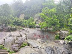 -泰山风景名胜区