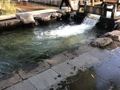 -百脉泉景区