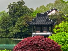 -西湖游船