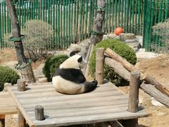 -大连森林动物园