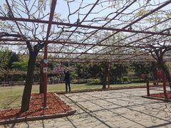 -汇龙潭