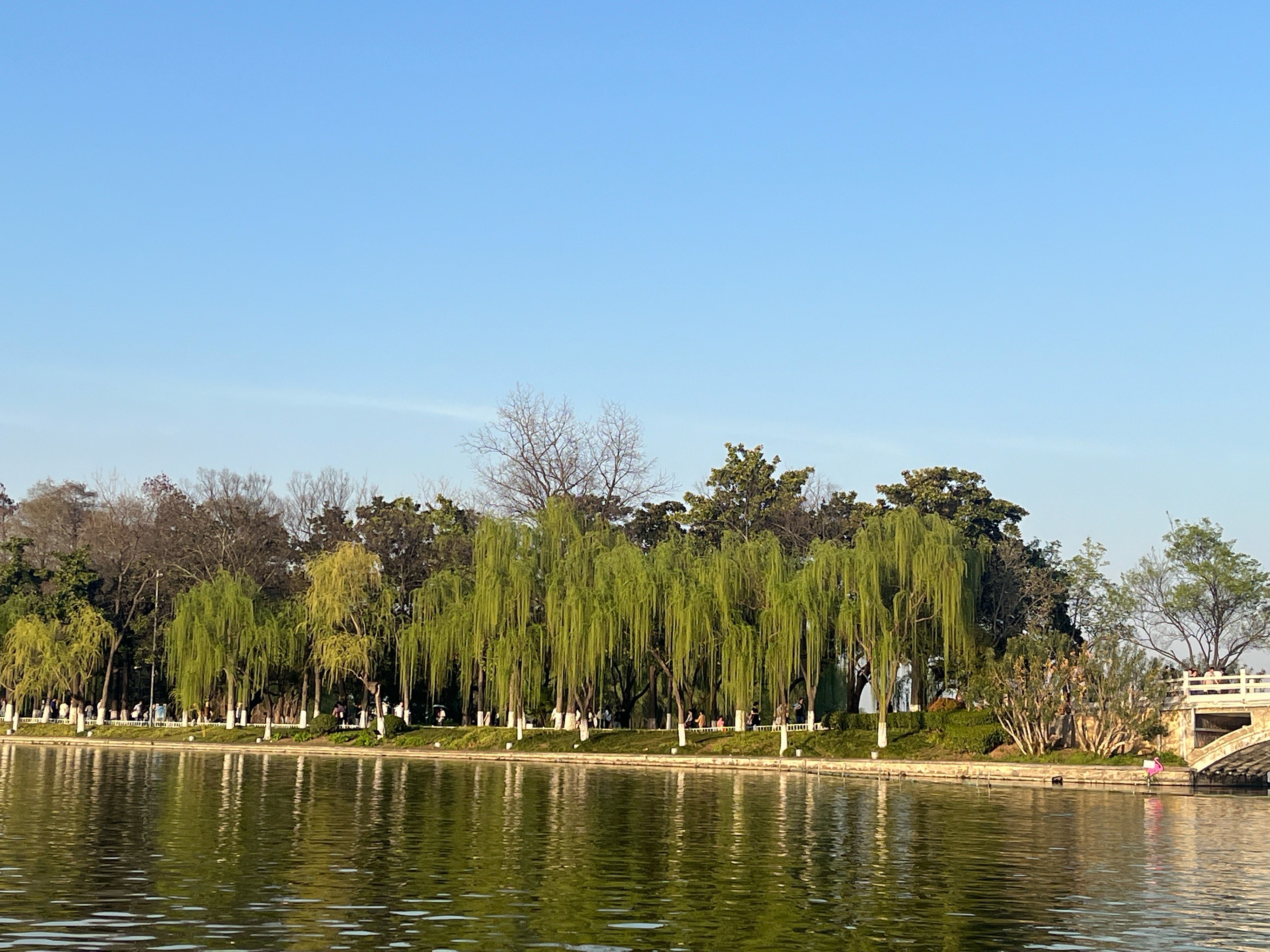 玄武湖公园 美景图片