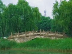 -北坞公园