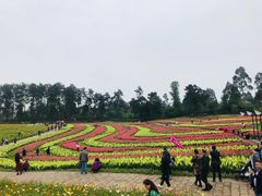 -保利石象湖景区