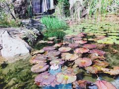 -广州莲花山旅游区