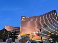 -拉斯维加斯永利酒店