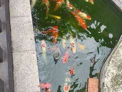 -观音桥步行街