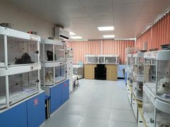 -翊宠yipet猫狗购宠庄园犬舍•猫舍