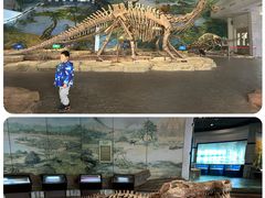 -自贡恐龙博物馆