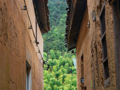 -杨家堂村