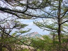 -崂山巨峰游览区