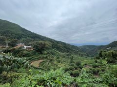 -杨家堂村