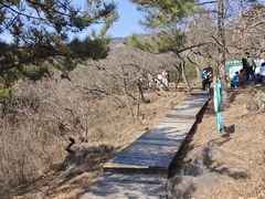 -北京十三陵国家森林公园蟒山景区