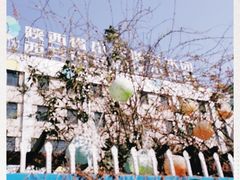 -陕西省小天鹅艺术团