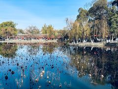 -滇池海埂公园