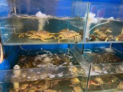 -福建美食城(老君堂店)