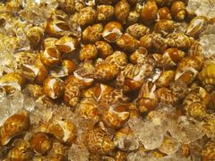 -芭提雅Amporn Seafood自助餐厅