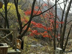 -三块石国家森林公园