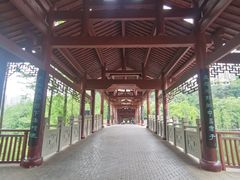 -重庆彩云湖湿地公园