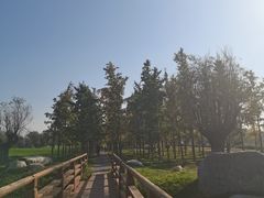 -汉长安城未央宫国家考古遗址公园