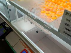 -PAWTOY爪e玩偶店(天兴罗斯福店)