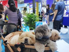 -东浩兰生上海世博展览馆