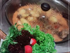 -山河屯铁锅炖鲜鹅·东北菜(开发区一店)