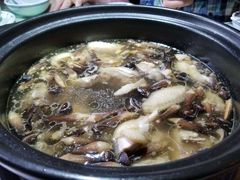 -探窝·竹笙椰子鸡(杨箕店)