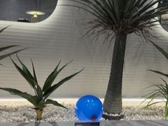 -兰湘子·湘菜小炒(崂山丽达店)