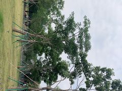 -海珠湖公园
