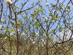 -南国桃园旅游度假区