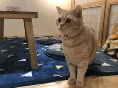 -小时光咖啡馆(开森度假森林店)