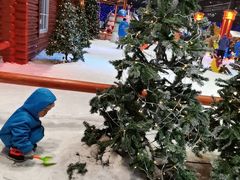 -宁波冰雪大世界(北仑区)