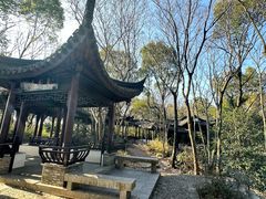 -上海佘山国家森林公园天马山园