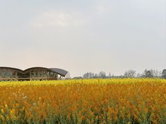 -中国天府农业博览园