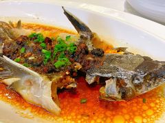 豆豉蒸鲟龙鱼-万龙洲海鲜(大兴绿地缤纷城店)