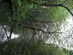 android_upload_pic-同里国家湿地公园