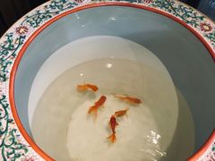 -T館·花园艺术餐厅