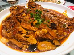 -陈家老院子(高新店)