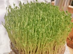 -好彩猪肚鸡(正弘城店)