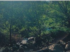 -雅鲁激流探险漂流