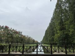 -黄海国家森林公园