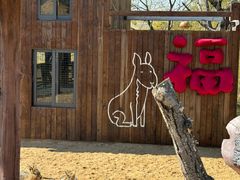 -茅山东方盐湖城景区