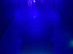 -白鹤梁水下博物馆