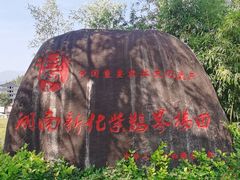 -紫鹊界梯田景区